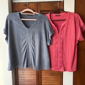 Cable & Gauge Blue and Pink Blouses